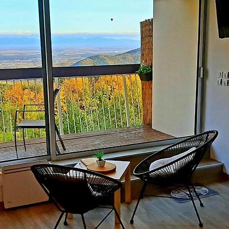 Studio Avec Sauna Au Calme A 15 Min De Colmar Trois-Épis Екстериор снимка